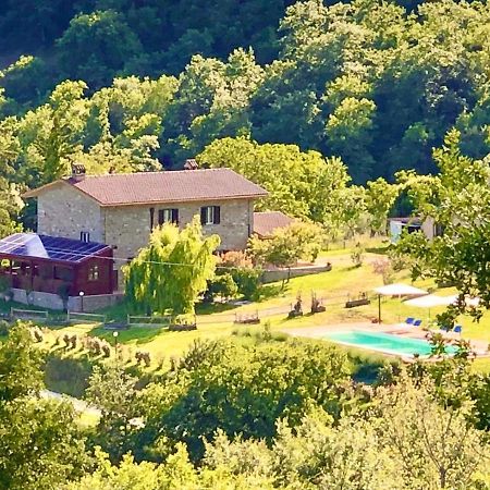 Agriturismo Vista Sole Villa Mercatale  Kültér fotó