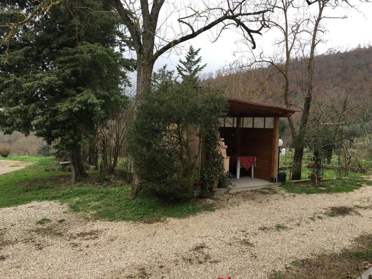 Agriturismo Vista Sole Villa Mercatale  Kültér fotó