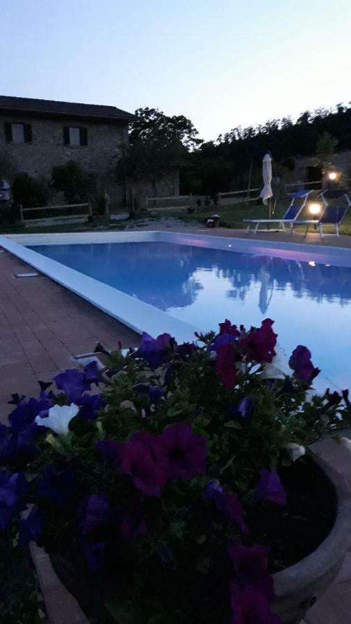 Agriturismo Vista Sole Villa Mercatale  Kültér fotó