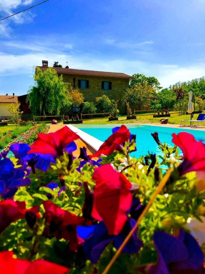 Agriturismo Vista Sole Villa Mercatale  Kültér fotó